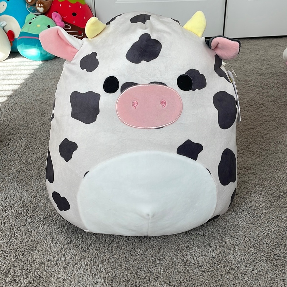 Colin squishmallow